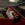 2026-06-07-17-02-04.webp