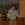 2026-06-07-20-56-12.webp