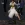 125.webp