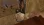 1780925768359.webp