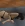 1780932294837.webp