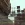 134.webp