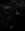 ss6.webp