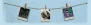312312132.webp