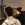 2026-06-08-23-22-45.webp