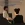 2026-06-08-23-40-48.webp