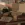 2026-06-09-21-25-46.webp