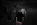 gulka.webp