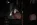 gulka5.webp