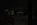 gulka8.webp