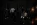 gulka6.webp