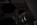 gulka9.webp