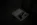 gulka7.webp