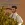 2026-06-10-00-14-29.webp