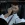2026-06-10-04-40-47.webp