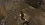 Снимок экрана 2026-06-11 182032.webp