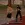2026-06-11-18-23-05.webp