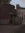 har1.webp