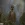 sobakatrack.webp