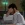 2026-06-12-05-36-08.webp