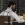 2026-06-12-05-42-30.webp