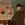2026-06-12-23-13-35.webp