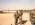 1781423844402.webp
