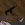 1781431972507.webp