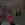 11.webp
