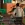 2026-06-14-23-48-21.webp