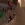 2026-06-15-19-25-30.webp
