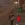 2026-06-15-19-31-00.webp