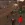 2026-06-15-19-32-32.webp