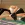 2026-06-16-01-21-28.webp