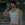 2026-06-16-03-12-18.webp
