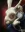1781572050947.webp