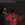 52.webp