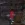 74.webp