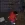 55.webp