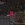 73.webp