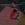 75.webp