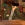 2026-06-17-21-26-47.webp