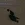 2026-06-18-09-59-27.webp