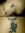 1781788037972.webp