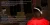 7.webp