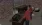 15.webp