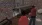 16.webp