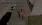 5.webp