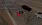 7.webp
