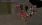 8.webp
